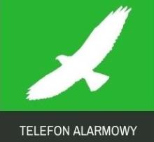 Telefon alarmowy