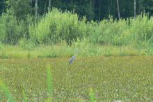 Mamy trzeci rezerwat przyrody